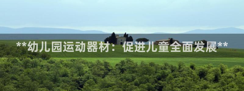意昂3新能源：**幼儿园运动器材：促进儿童全面发展*