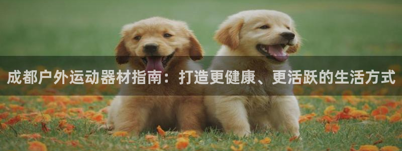 意昂体育3是干嘛的公司：成都户外运动器材指南：打造更