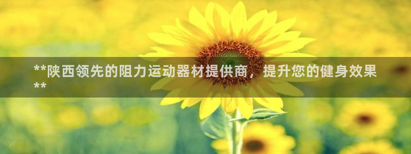 意昂3官方：**陕西领先的阻力运动器材提供商，提升您