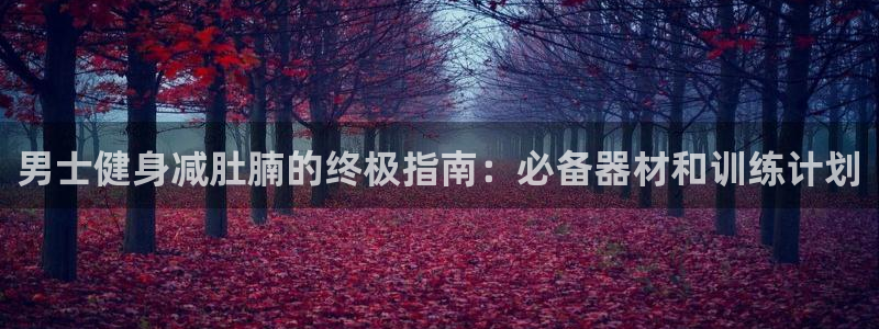 意昂体育3是干嘛的公司：男士健身减肚腩的终极指南：必