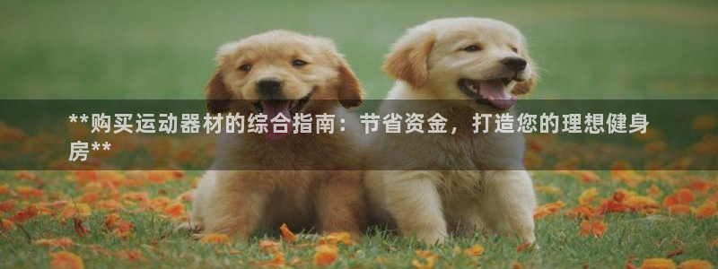 意昂体育3招商电话：**购买运动器材的综合指南：节省