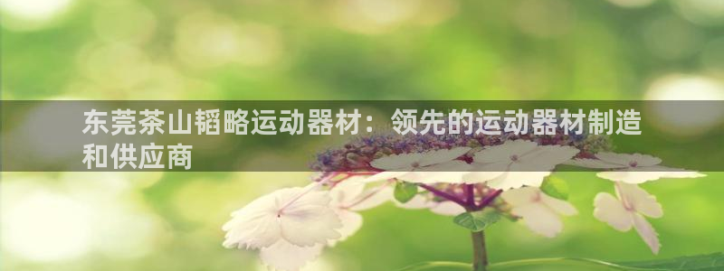 意昂体育3娱乐：东莞茶山韬略运动器材：领先的运动器材
