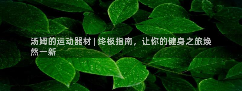 意昂体育3招商电话地址是多少：汤姆的运动器材 | 终