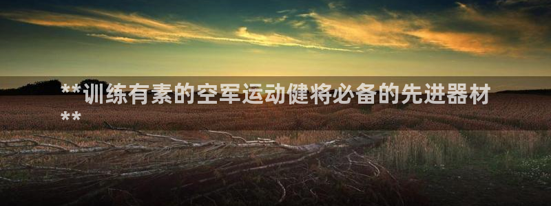意昂体育3平台注册流程图：**训练有素的空军运动健将