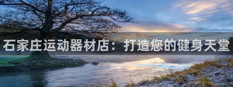 意昂体育3是干嘛的公司：石家庄运动器材店：打造您的健