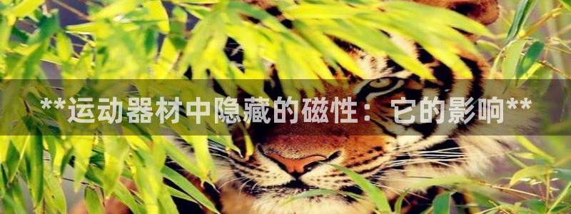 意昂3娱乐首页官网下载：**运动器材中隐藏的磁性：它