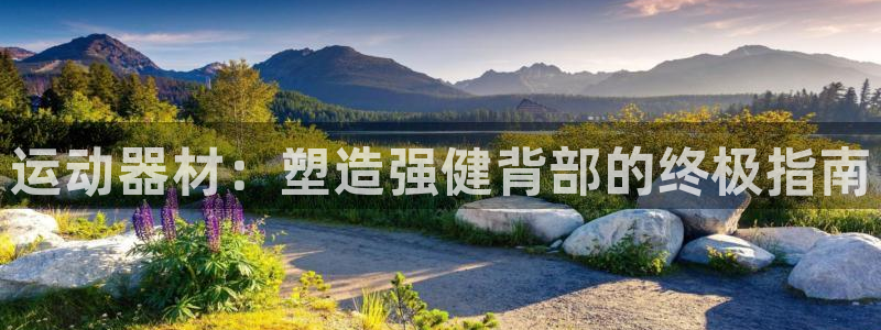意昂体育3平台是正规平台吗安全吗：运动器材：塑造强健