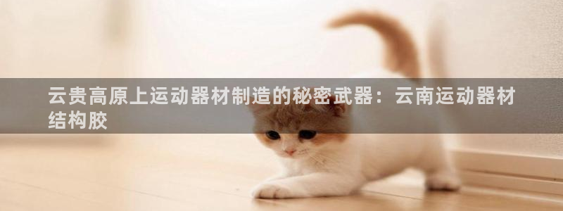 意昂3神州：云贵高原上运动器材制造的秘密武器：云南运