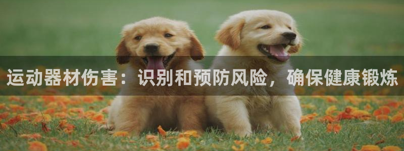 意昂体育3平台注册流程视频：运动器材伤害：识别和预防
