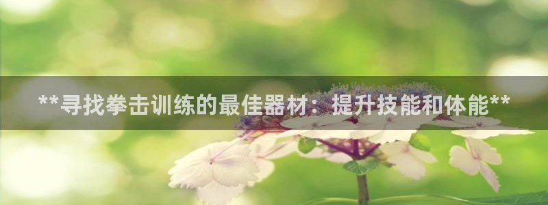 意昂3五金厂：**寻找拳击训练的最佳器材：提升技能和