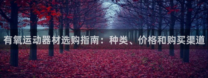 意昂3五金厂：有氧运动器材选购指南：种类、价格和购买