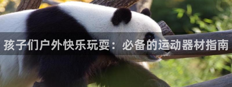 意昂体育3平台是正规平台吗安全吗：孩子们户外快乐玩耍