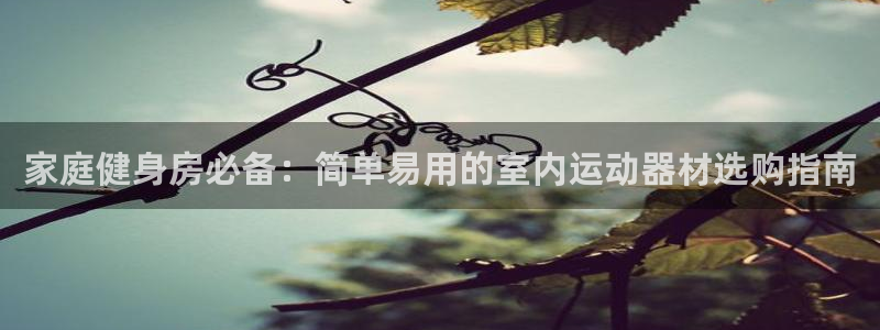 意昂体育3招商电话号码查询是多少：家庭健身房必备：简