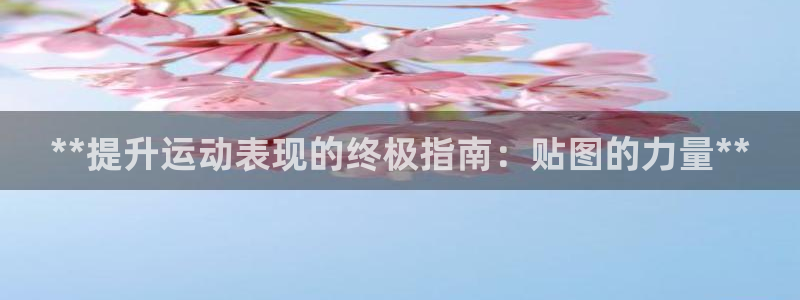 意昂3新能源：**提升运动表现的终极指南：贴图的力量
