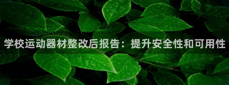 意昂3新能源：学校运动器材整改后报告：提升安全性和可