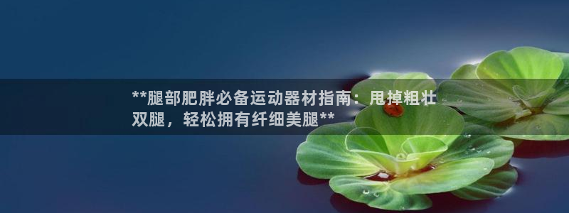 意昂体育3平台：**腿部肥胖必备运动器材指南：甩掉粗