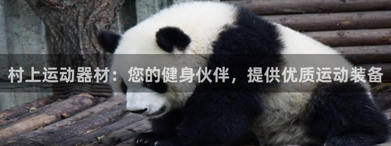 意昂体育3是干嘛的公司：村上运动器材：您的健身伙伴，