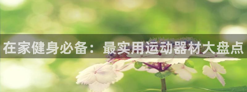 意昂3娱乐：在家健身必备：最实用运动器材大盘点