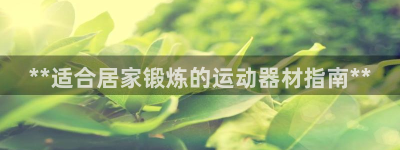 意昂体育3软件：**适合居家锻炼的运动器材指南**