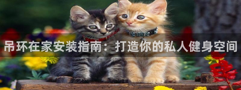 意昂体育3平台假的吗是真的吗：吊环在家安装指南：打造