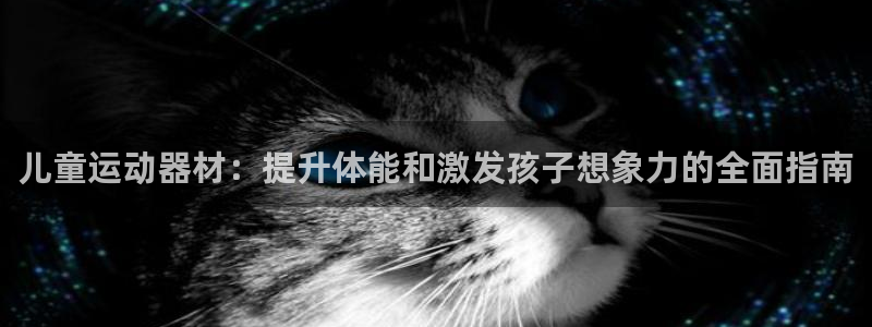 意昂体育3招商电话号码查询：儿童运动器材：提升体能和