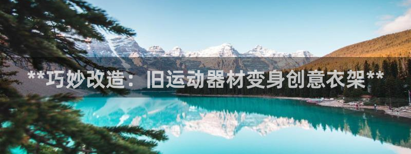意昂体育3招商电话地址：**巧妙改造：旧运动器材变身