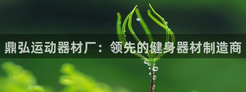 注册意昂3：鼎弘运动器材厂：领先的健身器材制造商