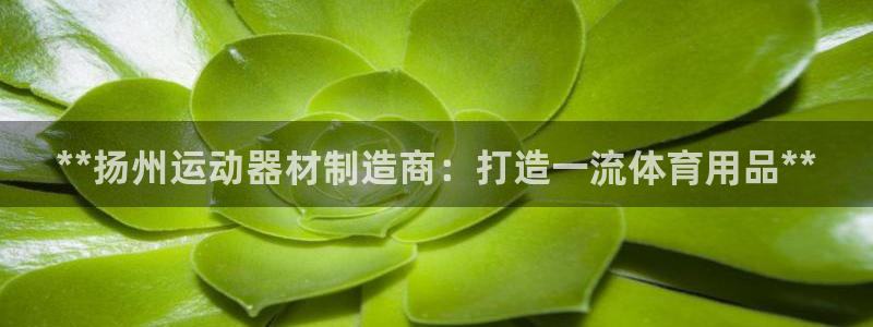 意昂体育3招商电话是多少：**扬州运动器材制造商：打