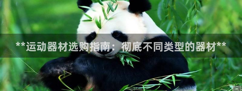 意昂体育3招商电话地址