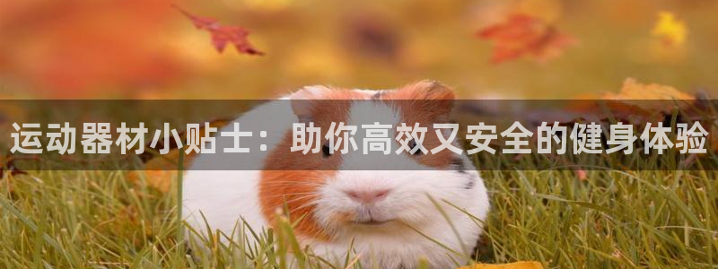 意昂3新能源：运动器材小贴士：助你高效又安全的健身体