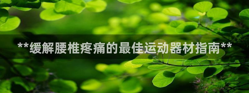 意昂3官方：**缓解腰椎疼痛的最佳运动器材指南**