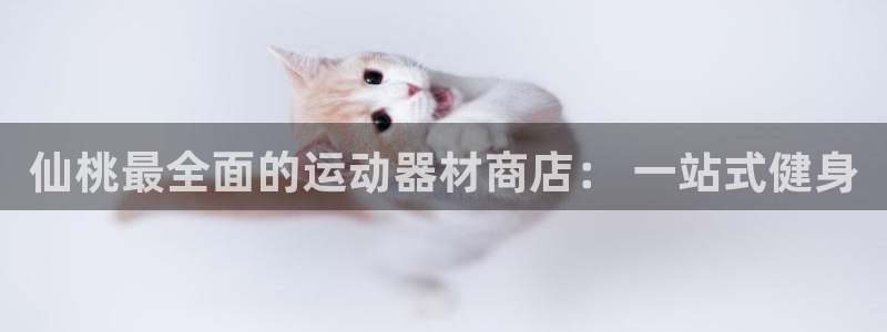意昂3集团E.ON：仙桃最全面的运动器材商店： 一站式健身