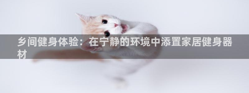 意昂3新能源：乡间健身体验：在宁静的环境中添置家居健
