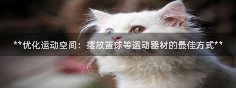 意昂体育3招商电话是多少号码：**优化运动空间：摆放