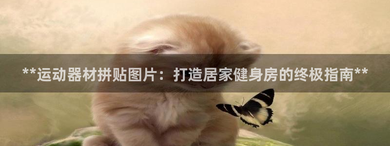 意昂体育3招商电话号码是多少：**运动器材拼贴图片：