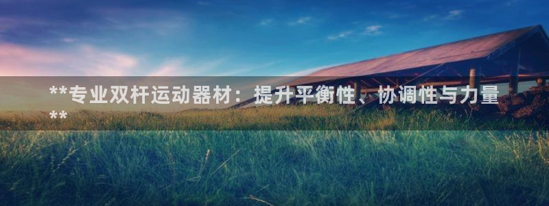 意昂体育3软件：**专业双杆运动器材：提升平衡性、协调性与力