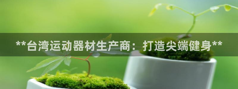 意昂3官网：**台湾运动器材生产商：打造尖端健身**