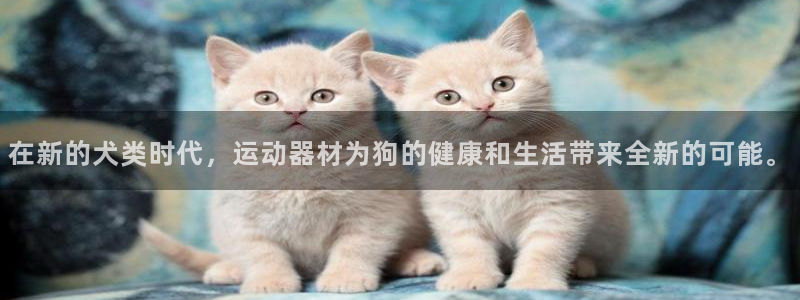 意昂体育3平台假的吗是真的吗吗