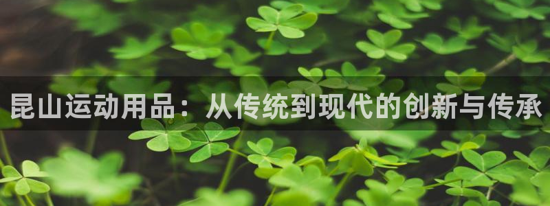 意昂3新能源