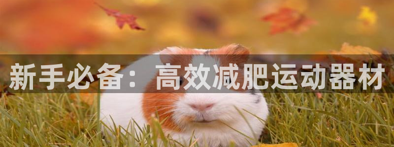 意昂体育3招商电话号码是多少号